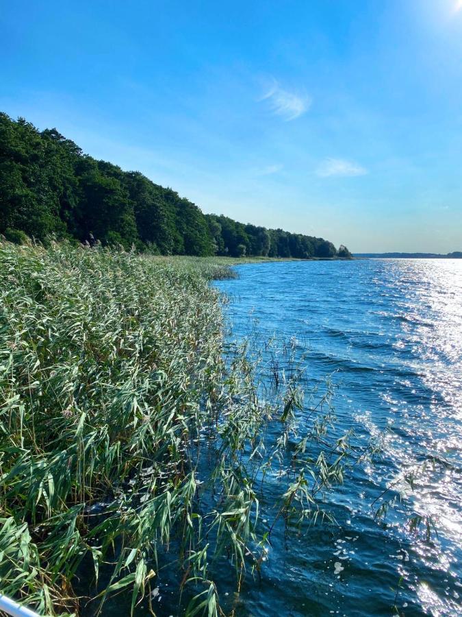 Ferienwohnung In Der Uckermark Am Oberuckersee Ot Warnitz Zewnętrze zdjęcie